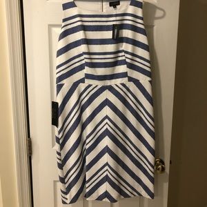 NWT Limited white and blue stripped dress